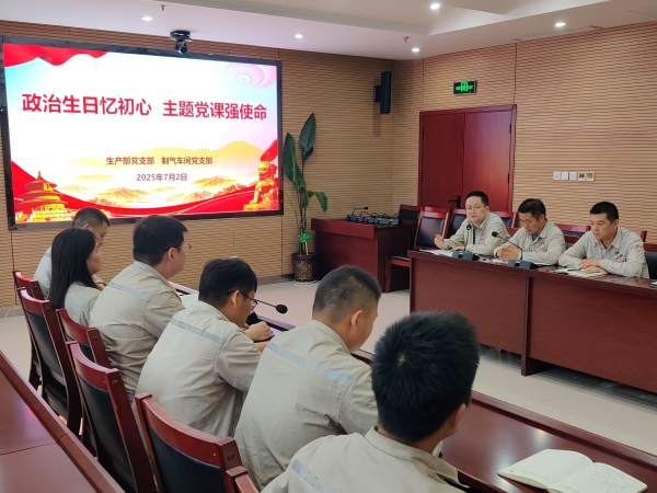 7月2日，主題黨日活動(dòng)現(xiàn)場(chǎng)照片.jpg
